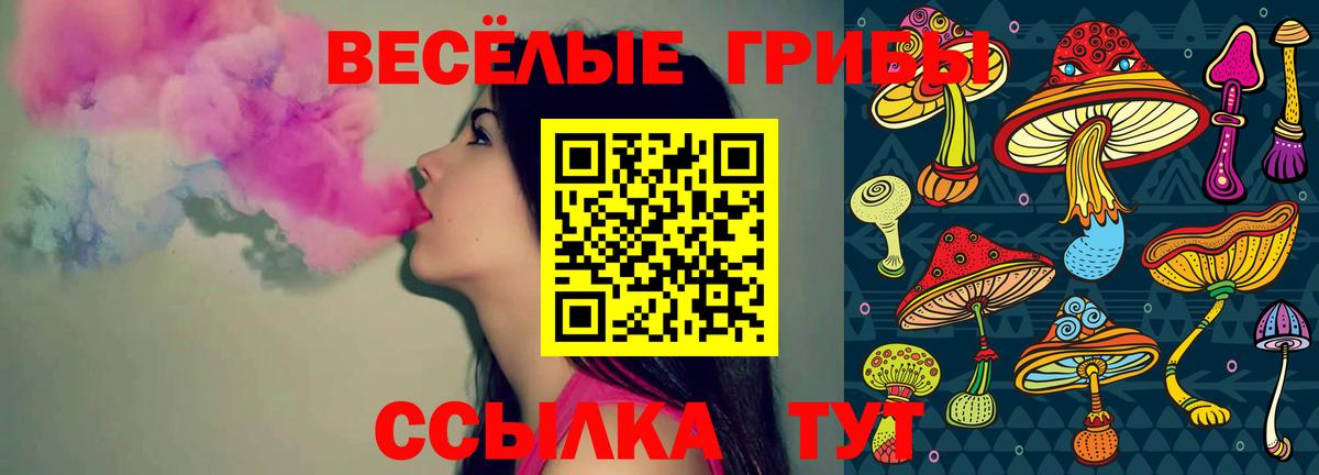 Псилоцибиновые грибы мицелий  Псилоцибиновые грибы Psilocybe  Вход с VPN  Пугачёв 