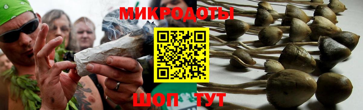 Галлюциногенные грибы Cubensis Пугачёв